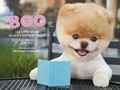 Cover: Boo - Chronicle Books
