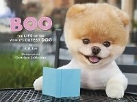 Enlarge image Cover: Boo - Chronicle Books