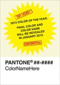 Cover: Pantone Colour of the Year Journal - Tangerine Tango - Chronicle Books