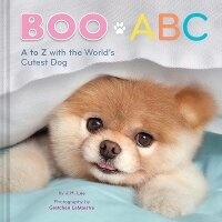 Enlarge image Cover: Boo ABC - Chronicle Books