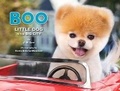 Cover: Boo - Chronicle Books