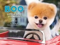 Enlarge image Cover: Boo - Chronicle Books