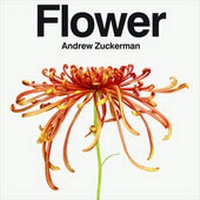 Enlarge image Cover: Flower - Chronicle Books