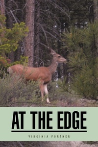 Enlarge image Cover: At the Edge - AuthorHouse