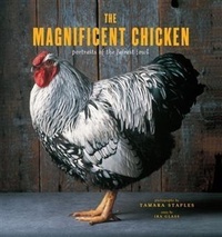 Abbildung von: The Magnificent Chicken - Chronicle Books (CA)