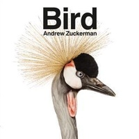 Enlarge image Cover: Bird - Chronicle Books LLC