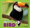 Cover: What's a Bird? - PowerKids Press