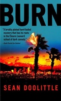 Cover: Burn - Dell