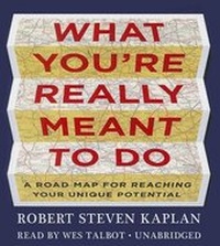 Enlarge image Cover: What You Re Really Meant to Do - Audiogo