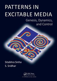 Enlarge image Cover: Patterns in Excitable Media - CRC Press
