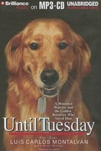 Enlarge image Cover: Until Tuesday - Brilliance Audio