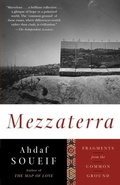 Cover: Mezzaterra - Anchor