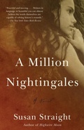 Cover: A Million Nightingales - Anchor