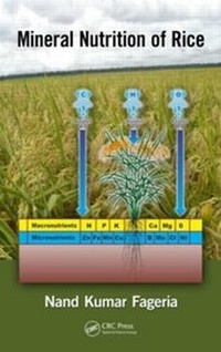 Abbildung von: Mineral Nutrition of Rice - CRC Press