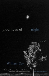 Enlarge image Cover: Provinces of Night - Anchor