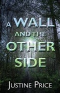 Cover: A Wall and the Other Side - AMERICA STAR BOOKS