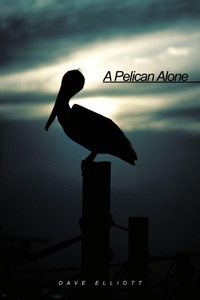 Enlarge image Cover: A Pelican Alone - AuthorHouse