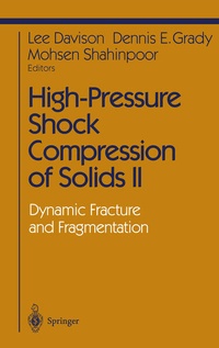 Enlarge image Cover: High-Pressure Shock Compression of Solids II - Springer
