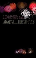 Cover: Under the Small Lights (Miami University Press Fiction) - Miami University Press