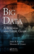 Cover: Big Data - Auerbach