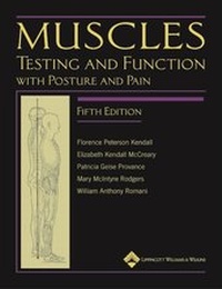 Abbildung von: Muscles - Lippincott Williams and Wilkins