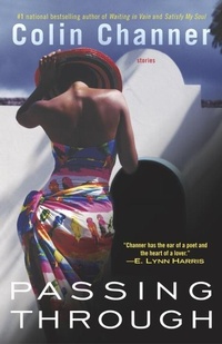 Enlarge image Cover: Passing Through - One World