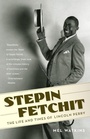 Cover: Stepin Fetchit - Vintage