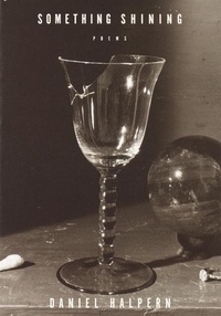 Enlarge image Cover: Something Shining - Knopf