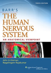 Abbildung von: Barr's The Human Nervous System: An Anatomical Viewpoint - Lippincott Williams and Wilkins