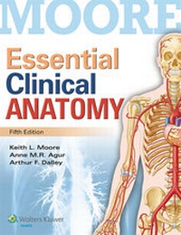 Enlarge image Cover: Essential Clinical Anatomy - LWW