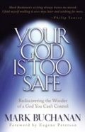 Cover: Your God is Too Safe - Multnomah