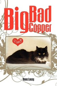 Enlarge image Cover: Big Bad Copper - Xlibris