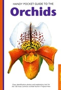 Cover: Handy Pocket Guide to Orchids - Periplus Editions