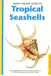 Abbildung von: Handy Pocket Guide to Tropical Seashells - Periplus Editions