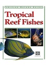Cover: Tropical Reef Fishes - Periplus Editions
