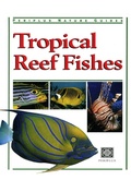 Cover: Tropical Reef Fishes - Periplus Editions