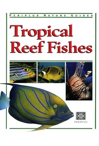 Enlarge image Cover: Tropical Reef Fishes - Periplus Editions