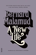 Cover: A New Life - Farrar, Straus and Giroux
