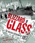 Cover: Blizzard of Glass - Henry Holt and Co.