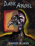 Cover: Dark Angel - Farrar, Straus and Giroux (BYR)