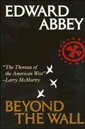 Cover: Beyond the Wall - Holt Paperbacks