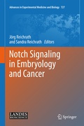 Bild: Notch Signaling in Embryology and Cancer - Springer