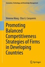 Cover: Promoting Balanced Competitiveness Strategies of Firms in Developing Countries - Springer