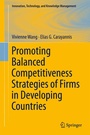 Cover: Promoting Balanced Competitiveness Strategies of Firms in Developing Countries - Springer