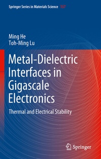Enlarge image Cover: Metal-Dielectric Interfaces in Gigascale Electronics - Springer