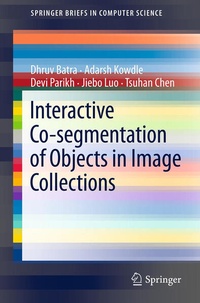 Enlarge image Cover: Interactive Co-segmentation of Objects in Image Collections - Springer