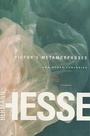 Cover: Pictor's Metamorphoses - Farrar, Straus and Giroux