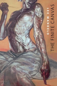 Enlarge image Cover: The Finite Canvas - Tor Books
