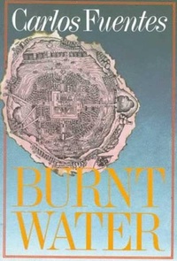 Abbildung von: Burnt Water - Farrar, Straus and Giroux