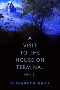 Cover: A Visit to the House on Terminal Hill - Tor Books